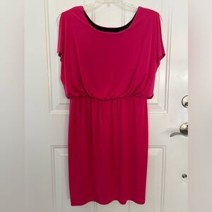 Valerie Bertinelli Pink Dolman Sleeve Sheath Dress Size 10